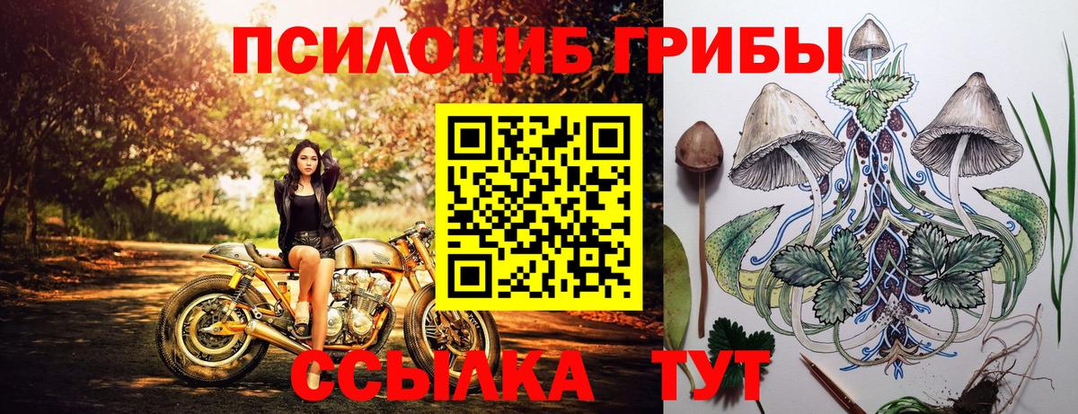 Галлюциногенные грибы Cubensis Воскресенск
